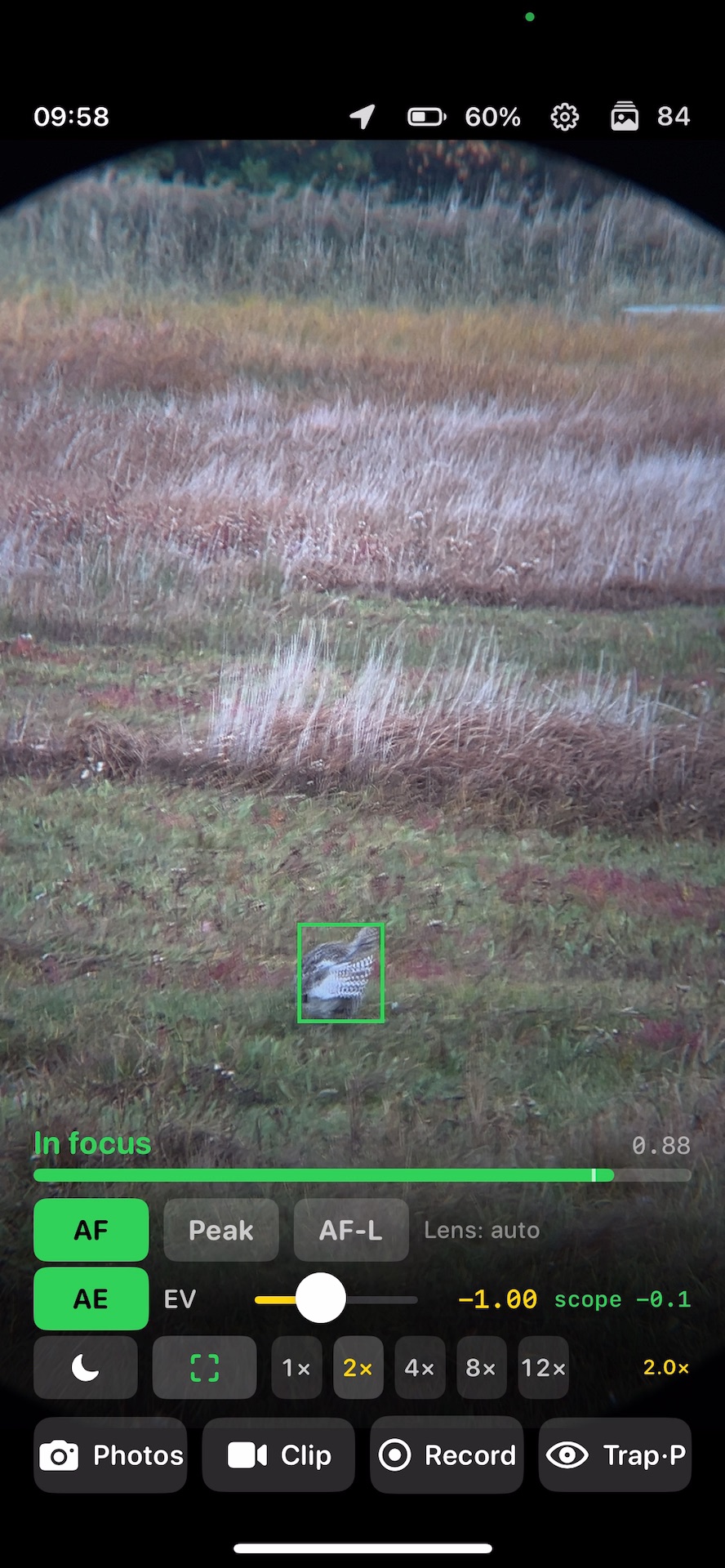 Torimado in AF, with a green bird-detection box in the magnified eyepiece view.