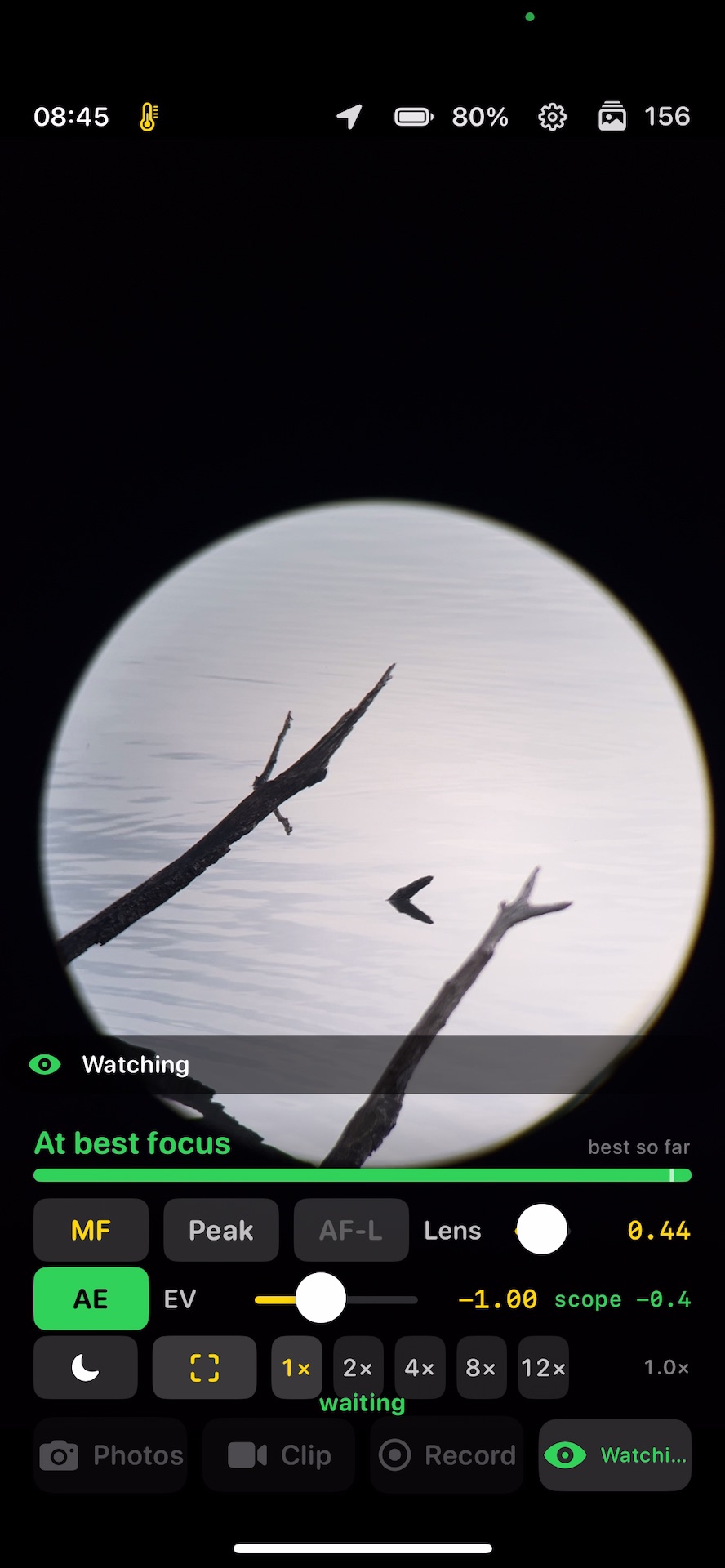 Torimado’s Trap screen showing Watching above the capture controls, with a perch in view.